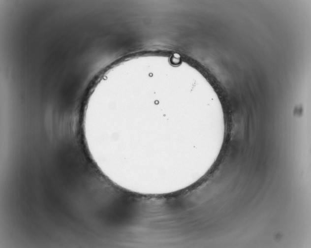 X0000103941261200809191408
