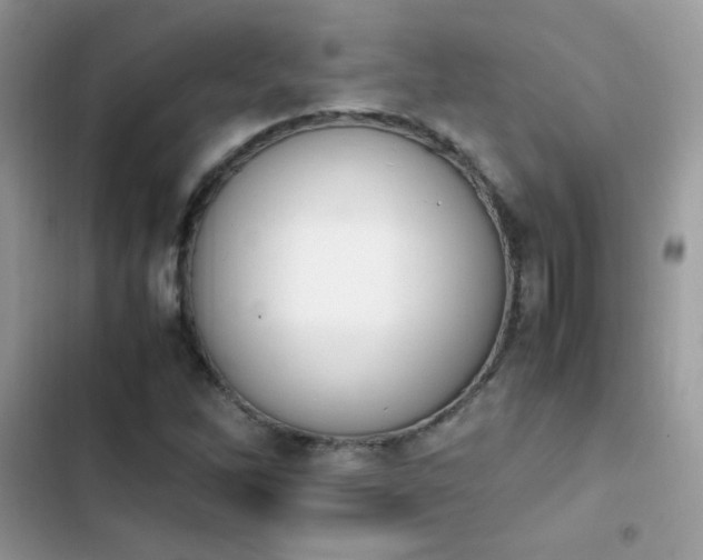 X0000103941262200809191408