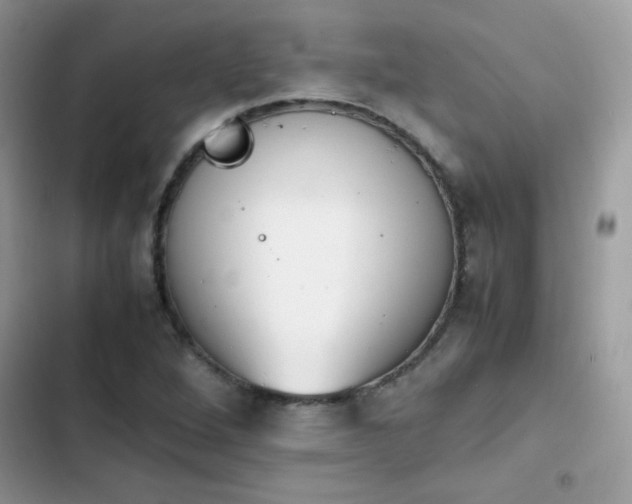 X0000103941264200809191408