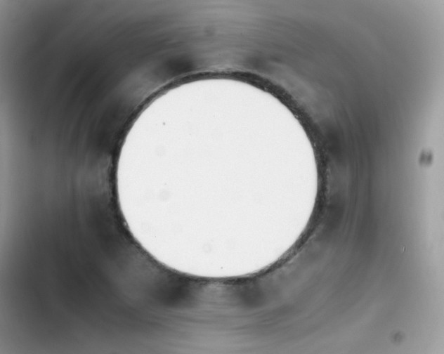 X0000103941265200809191408