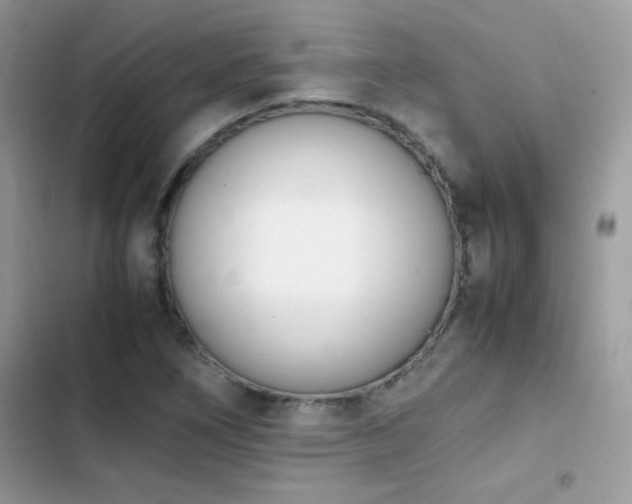 X0000103941266200809191408