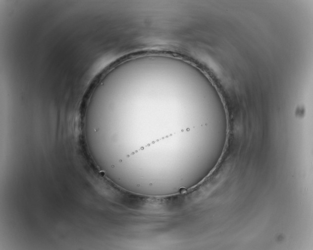 X0000103941267200809191408