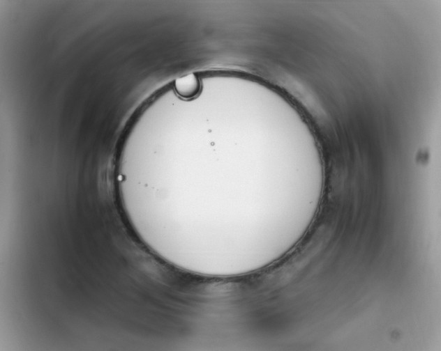 X0000103941268200809191408