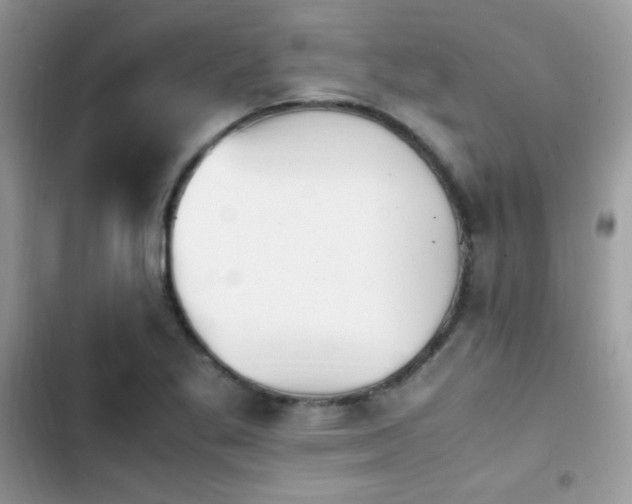 X0000103941269200809191408