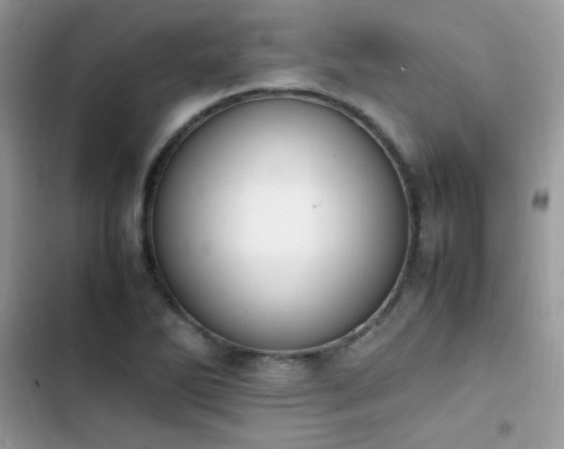 X0000103941270200809191408
