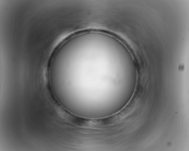 X0000103941271200809191408