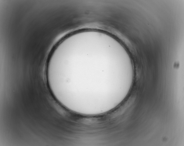 X0000103941272200809191408