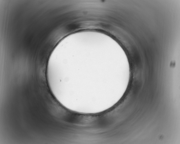 X0000103941273200809191408