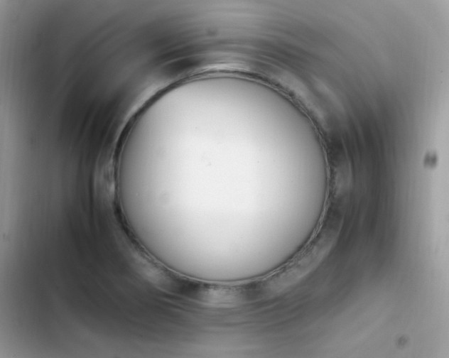 X0000103941274200809191408