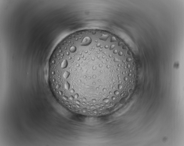 X0000103941275200809191408