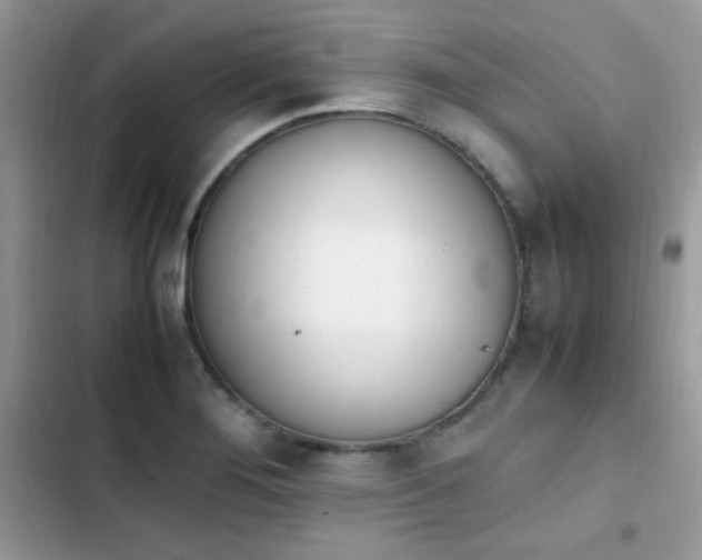 X0000103941276200809191408