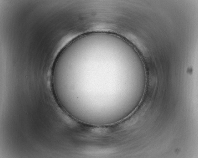 X0000103941277200809191408