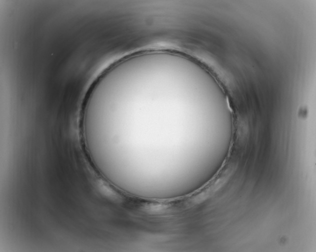 X0000103941278200809191408