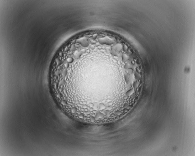 X0000103941279200809191408