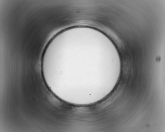 X0000103941280200809191408
