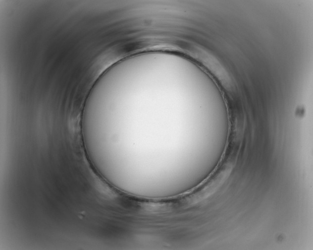 X0000103941281200809191408
