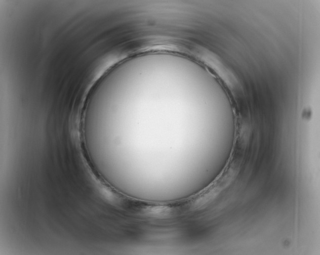 X0000103941282200809191408