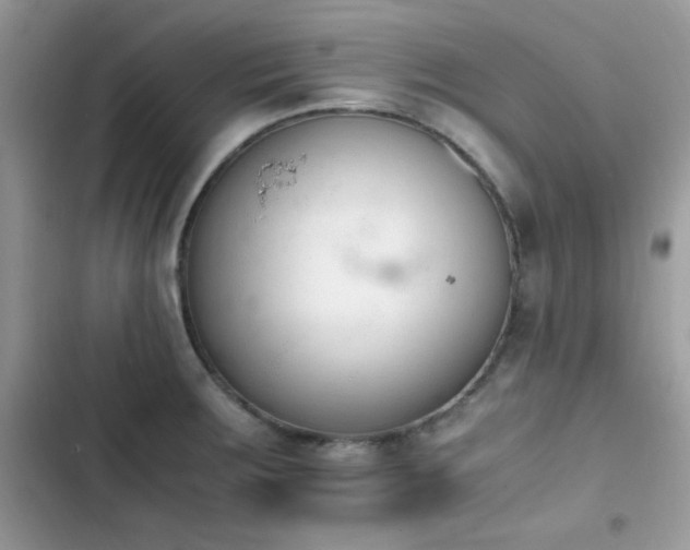 X0000103941283200809191408