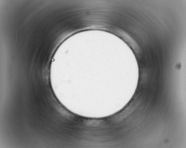 X0000103941284200809191408