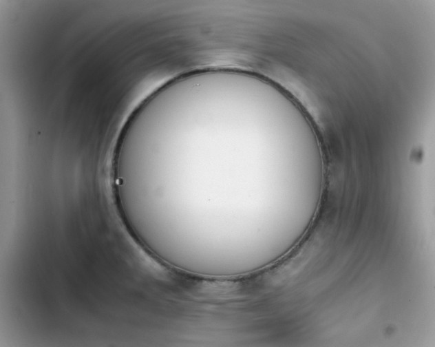 X0000103941285200809191408
