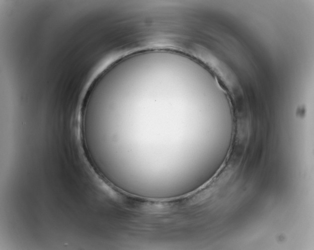 X0000103941286200809191408
