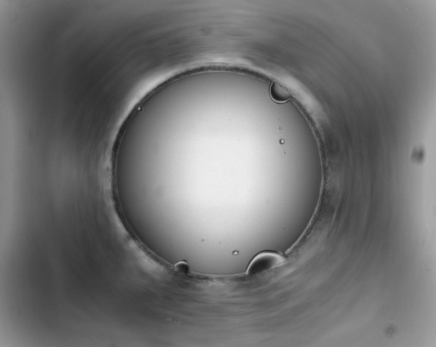 X0000103941287200809191408