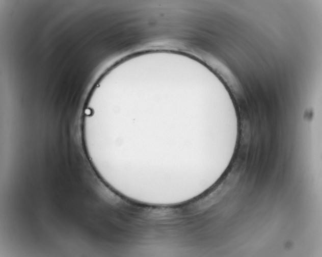X0000103941288200809191408