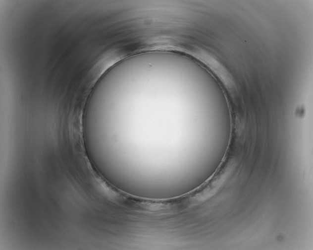 X0000103941289200809191408