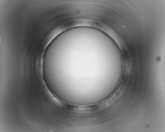 X0000103941290200809191408