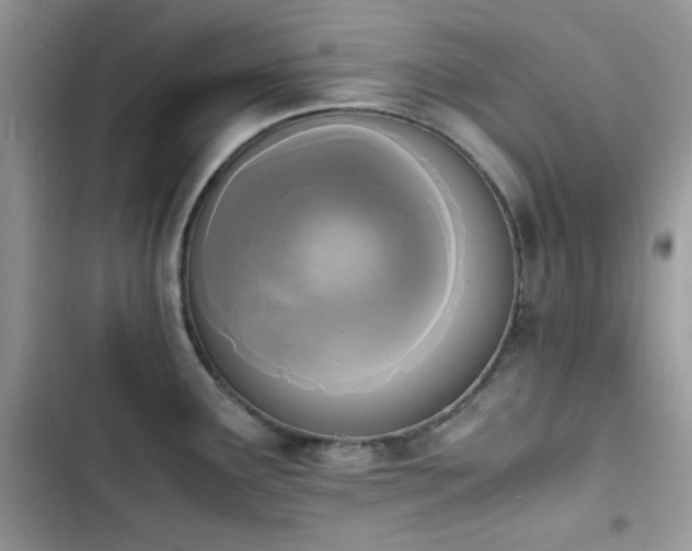 X0000103941291200809191408