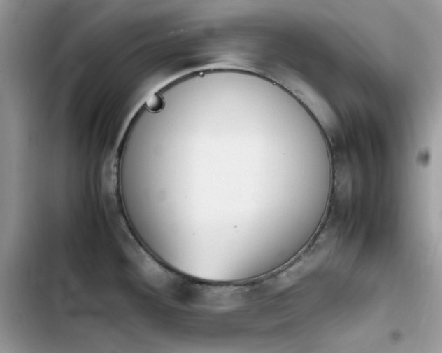 X0000103941292200809191408