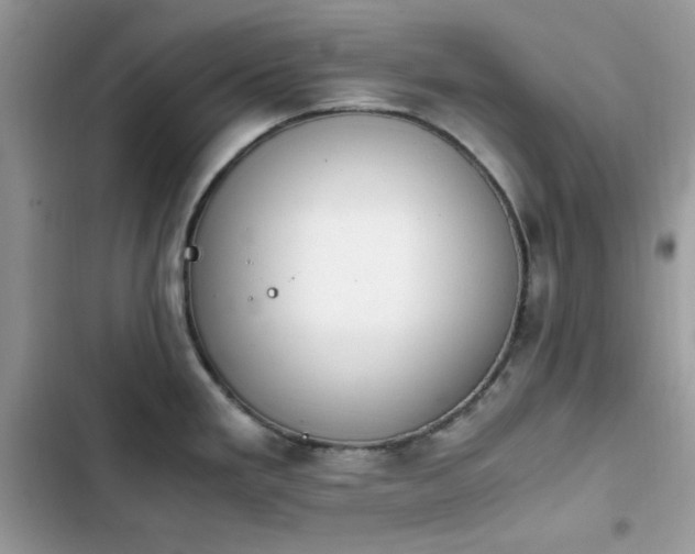X0000103941293200809191408