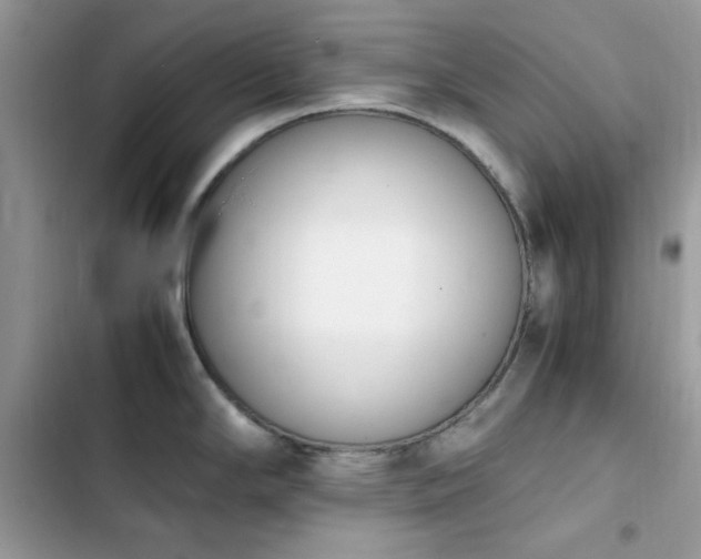 X0000103941294200809191408