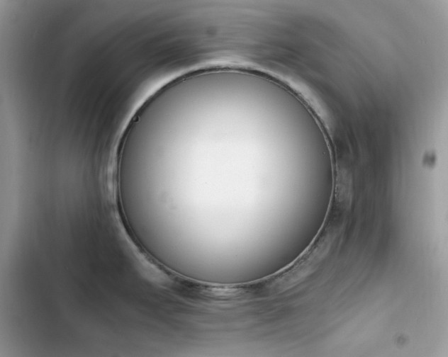 X0000103941295200809191408
