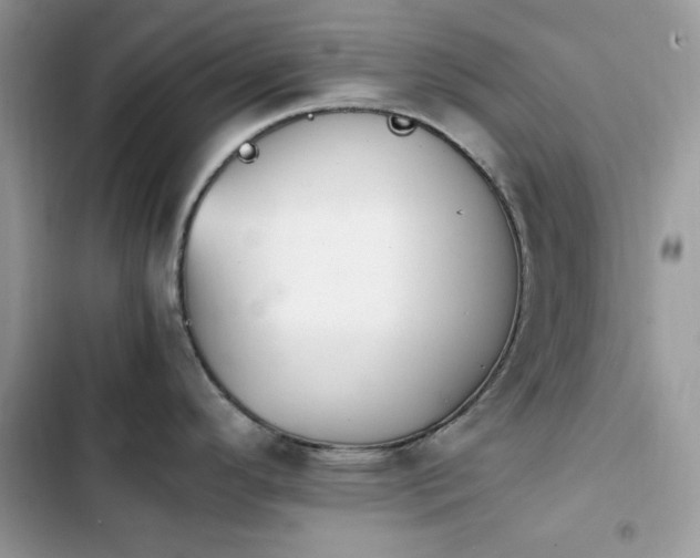 X0000103941296200809191408