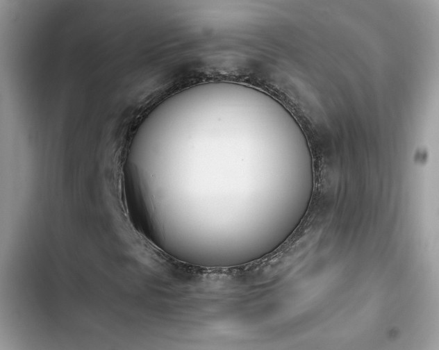 X0000103941297200809191407