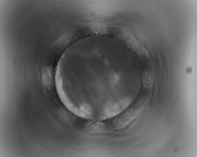 X0000103941298200809191407