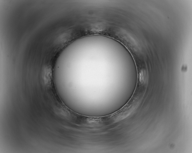 X0000103941299200809191407