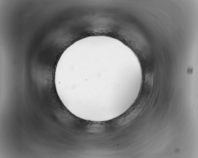 X0000103941300200809191407