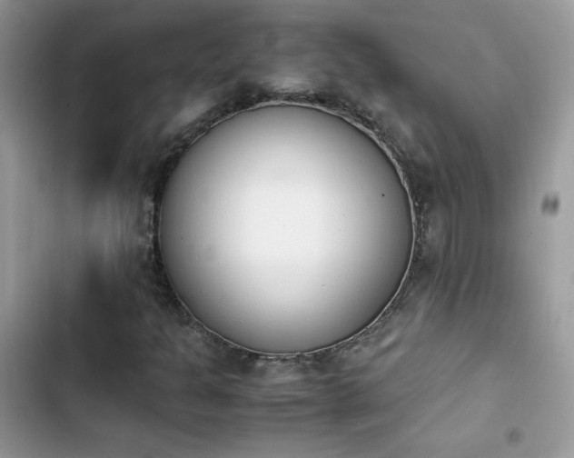 X0000103941301200809191407