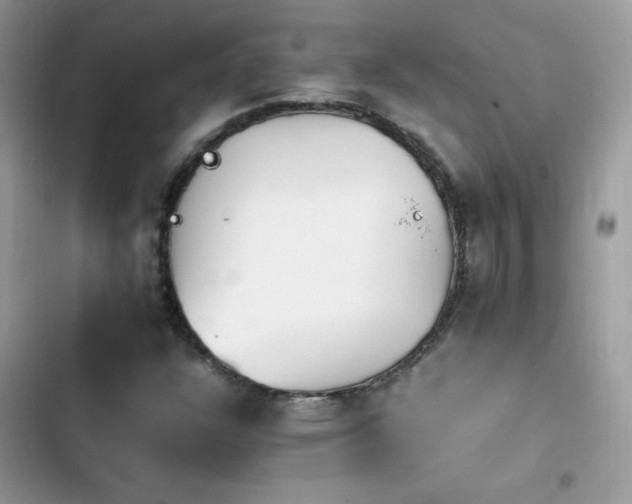X0000103941304200809191407