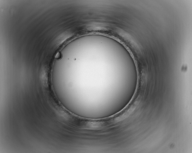X0000103941305200809191407