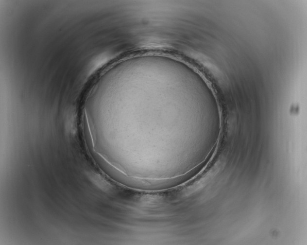 X0000103941306200809191407