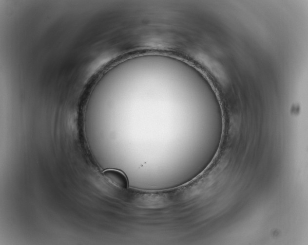 X0000103941307200809191407