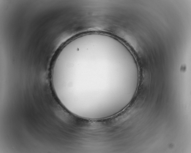 X0000103941308200809191407
