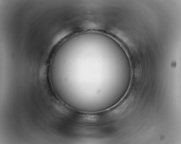 X0000103941309200809191407