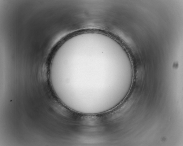 X0000103941310200809191408