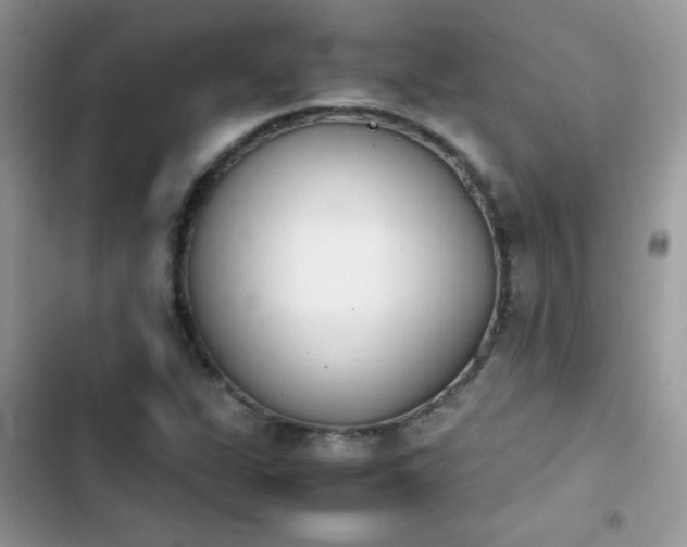 X0000103941311200809191408