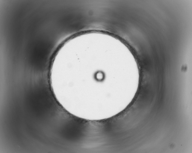 X0000103941312200809191408