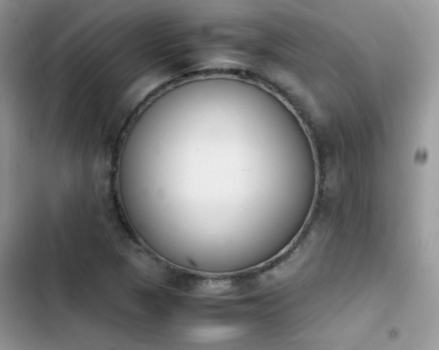 X0000103941313200809191408